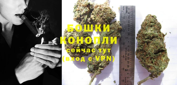 первитин Няндома