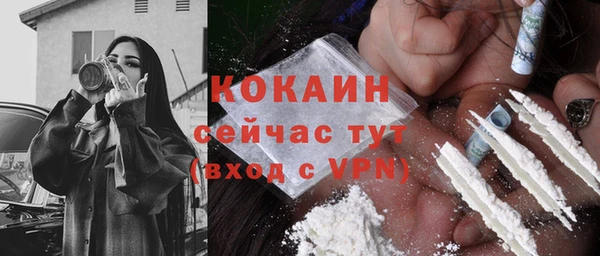 первитин Няндома