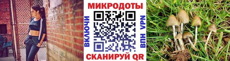 Купить  Тобольск  Псилоцибиновые грибы Magic Shrooms 