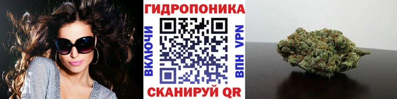 Купить закладки  Тобольск  Бошки Шишки Amnesia 